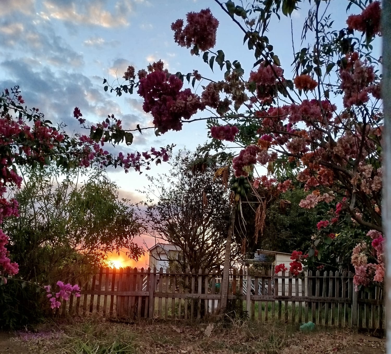 Foto 5